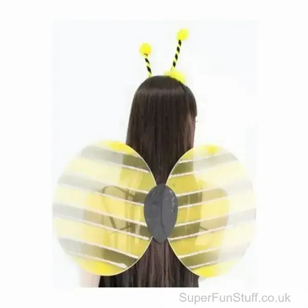 Bumblebee Fancy Dress Costume | Wings and Boppers