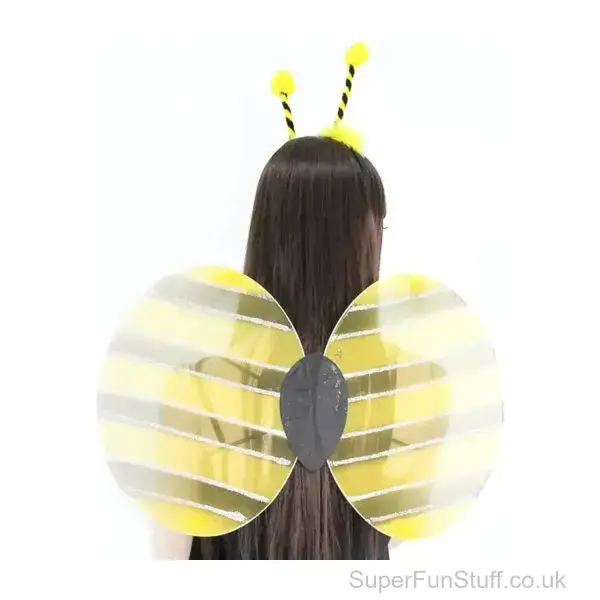 Bumblebee Fancy Dress Costume | Wings and Boppers