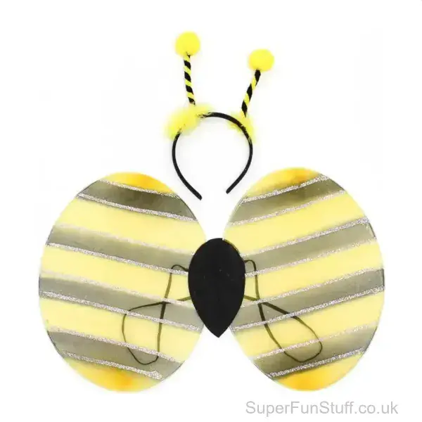 Bumblebee Fancy Dress Costume | Wings and Boppers