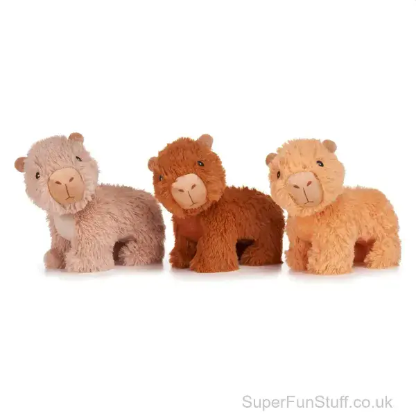 Capybara Plush Small Toy - 22cm