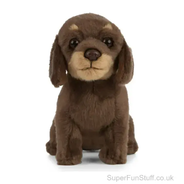Dachshund Sausage Dog Soft Toy  - 26.5cm