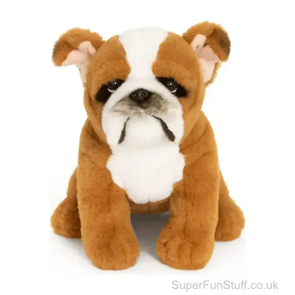 English Bulldog Teddy Soft Toy - 25cm