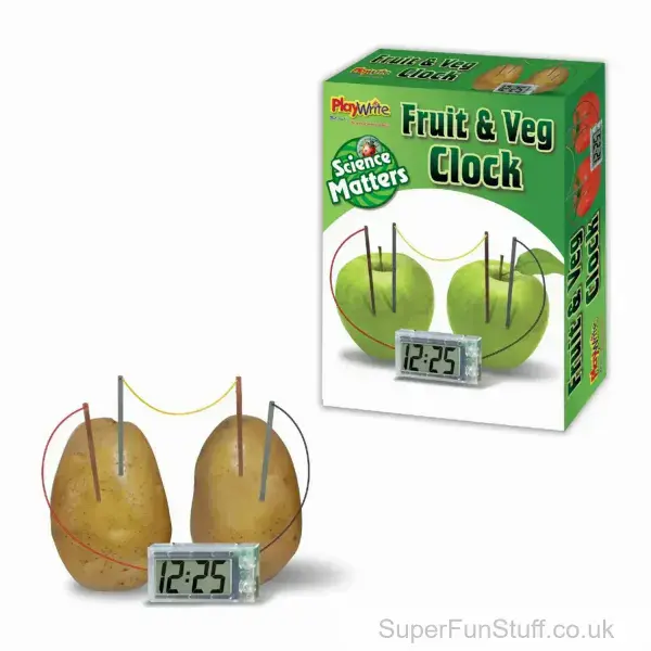 Fruit and Veg Clock Science Play Set | Educational Toys For Children