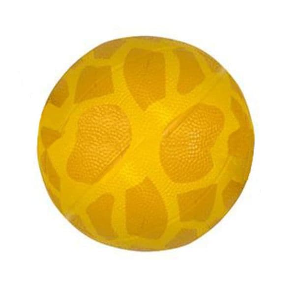Giraffe Animal Print Mini Basketballs | Kids Gifts