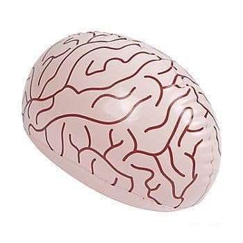 Inflatable Brain Blow up Toy | Funny Novelty Toys