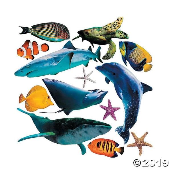 Set of 13 Large Realistic Sea Life Animal Cardboard Cut Outs | Kid's Party Decoration