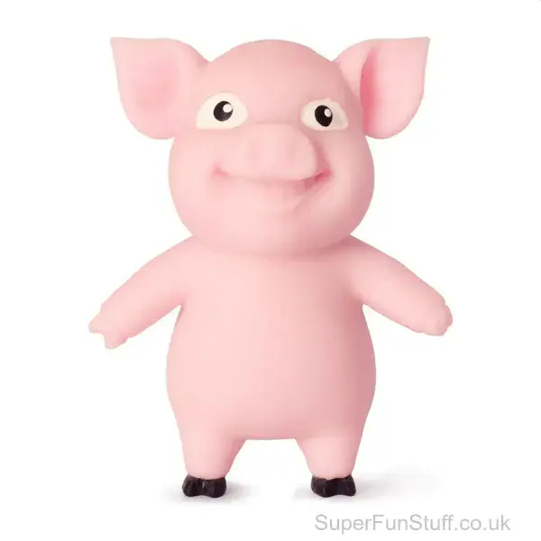 Squishy Pig Stress Toy - 7.5cm