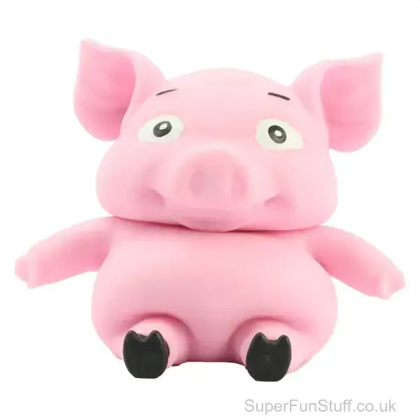 Squishy Pig Stress Toy - Stretch N Smash - 13cm