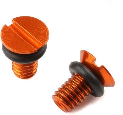 Zeta Air Valve Cap Screws - WP
