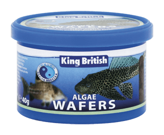 Algae Wafers With IHB