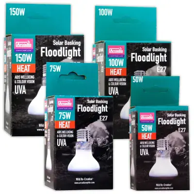 Arcadia flood lights