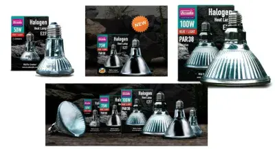 Arcadia halogen bulbs
