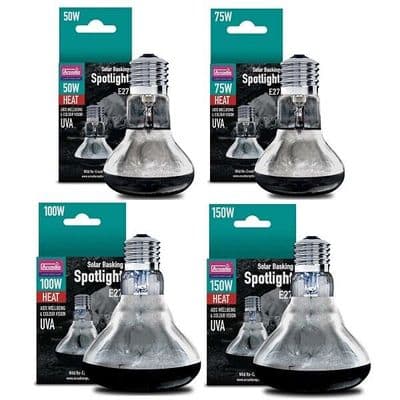 arcadia screw spot light