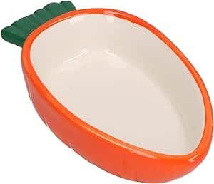 Carrot shaped food dish