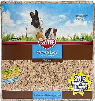 clean and cozy natural