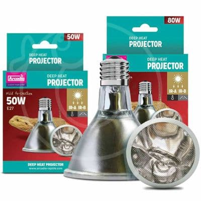 Deep heat projector