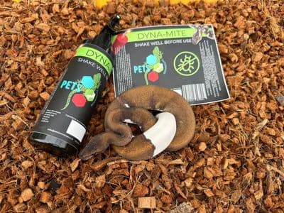dyna-mite