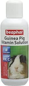 View of guinea pig vitamin solution