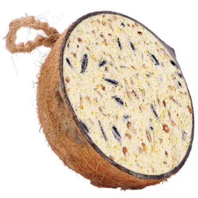 half coconut filled with sueit