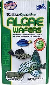 hikari algae wafer