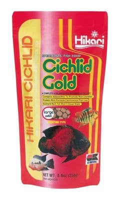 hikari cichlid gold