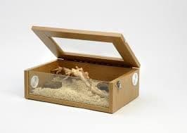 hatchling starter kit