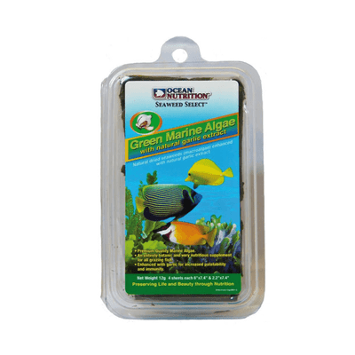 ocean nutrition green marine algae