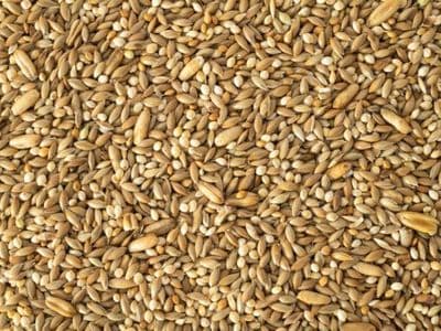 Own pre-bagged budgie seed