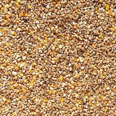 Own pre-bagged mixed corm