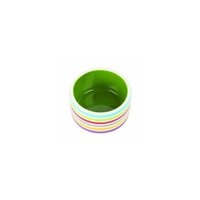 Rainbow Pet Bowl