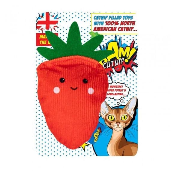sally strawberry