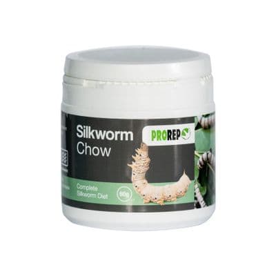 silkworm chow