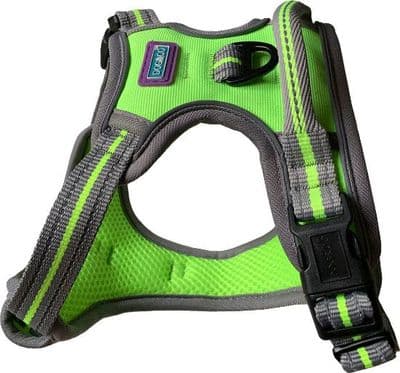 Sports harness - Green