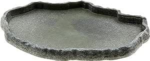 zoomed shallow repti rock food dish