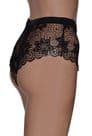 High Waist Vintage Style Black All- Lace Panties