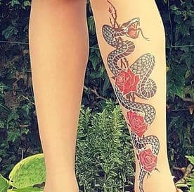Stop and Stare Tattoo Tights with Serpents & Roses