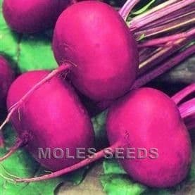 Beetroot Egyptian