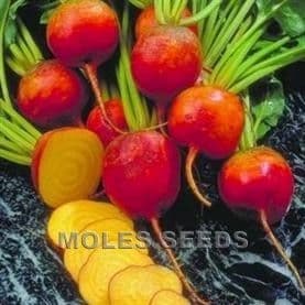 Beetroot Golden