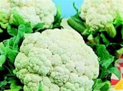 Cauliflower All The Year Round