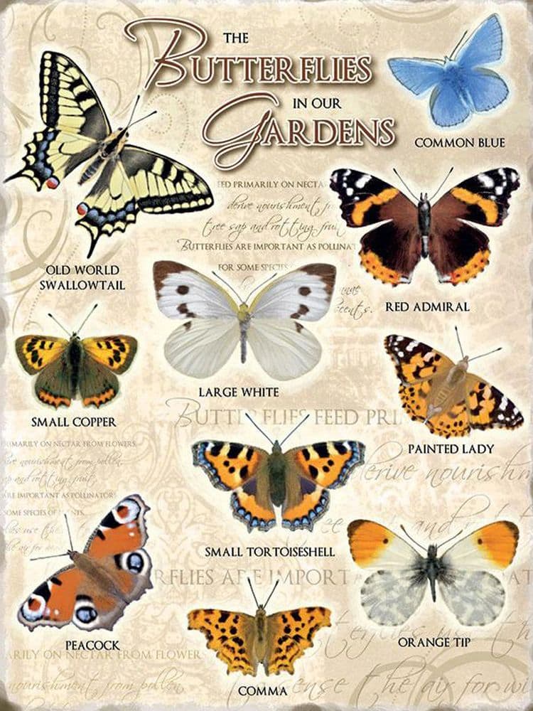 Butterflies Metal Wall Sign | Vintage Garden Sign | Garden wall art