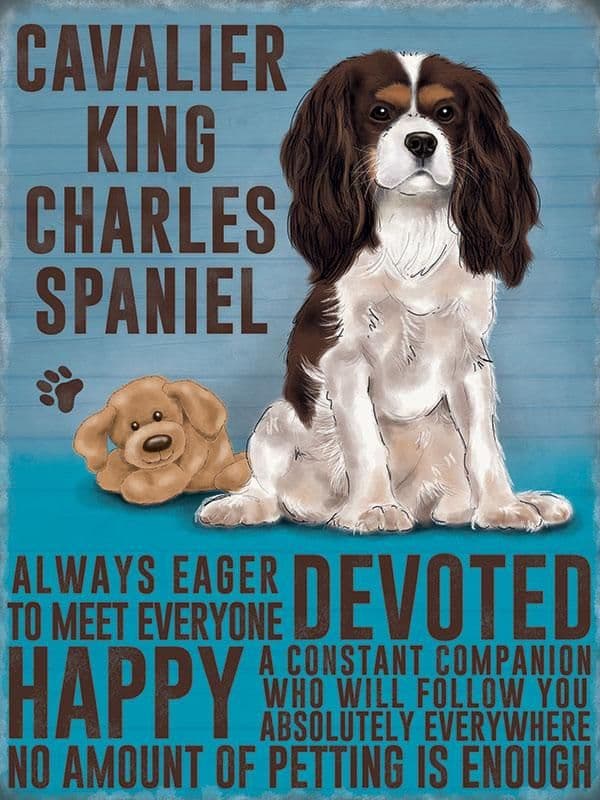 Cavalier King Charles Metal Wall Sign (4 sizes) | Spaniel Wall Art ...