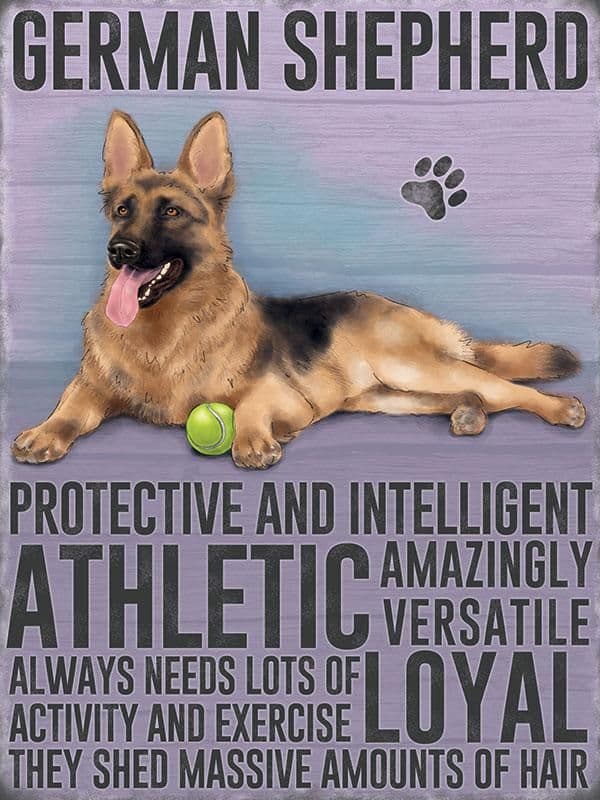 German Shepherd Metal Wall Sign (4 sizes) | Alsatian Wall Art | German ...