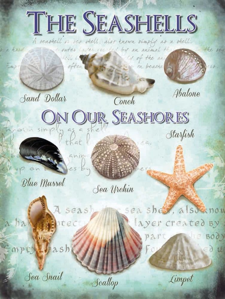 Seashells Metal Wall Sign | Home decorating ideas | Bathroom wall art