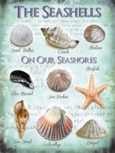 Seashells Metal Wall Sign (4 sizes)