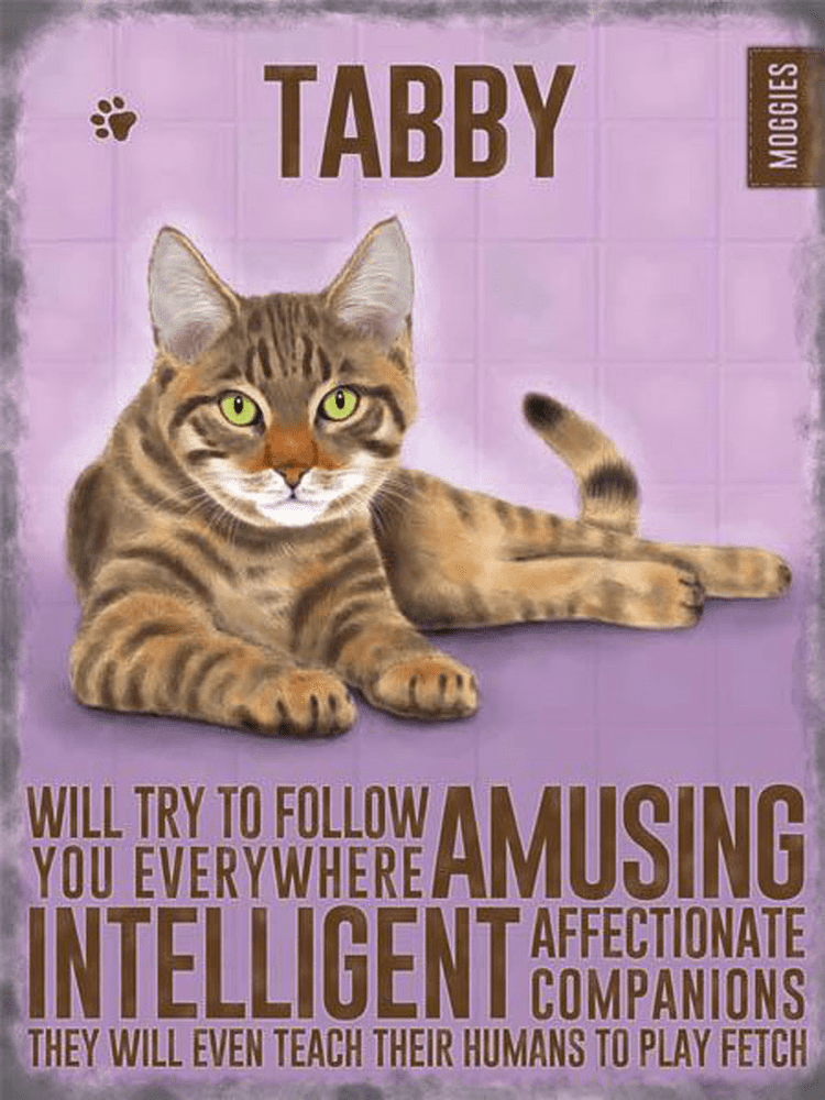 Tabby Cat Metal Wall Sign (4 sizes) | Tabby Cat Wall Art | Cat Gifts
