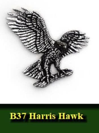 Harris Hawk Pewter pin badge