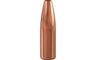 Speer 100g HP (100)