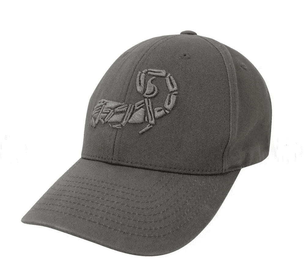 Agilite Scorpion Logo Hat