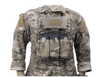 Spiritus Systems LV Placard - 5.56