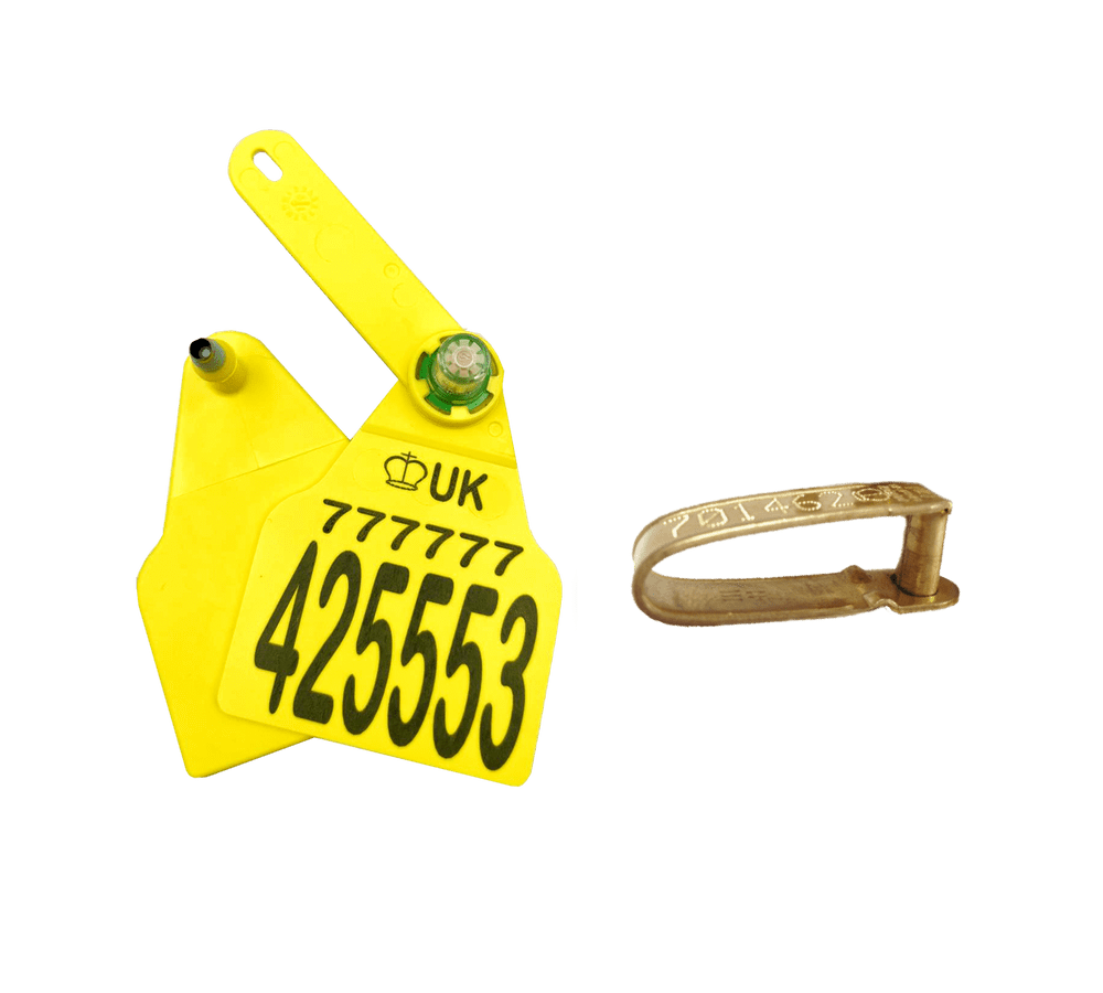 Primary Z Tag TST Secondary SuperBrass Tag